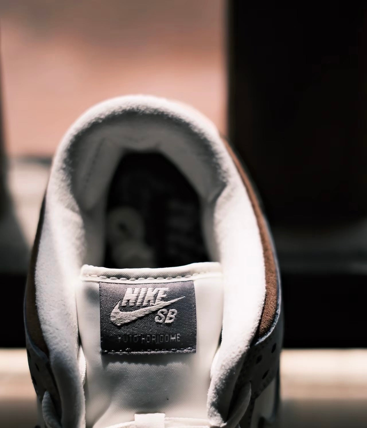 Yuto Horigome x SB Dunk Low (FQ1180-001)