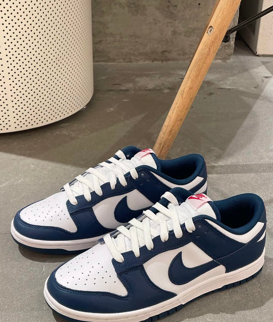 Nike Dunk Low Valerian Blue 藏藍 (DD1391-400)