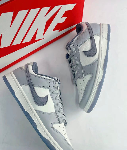 Nike Dunk Low - Light Carbon (FJ4188-100)