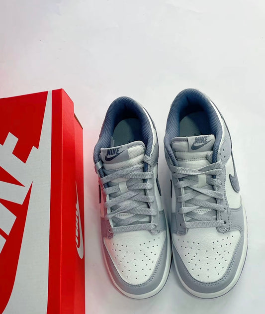Nike Dunk Low - Light Carbon (FJ4188-100)