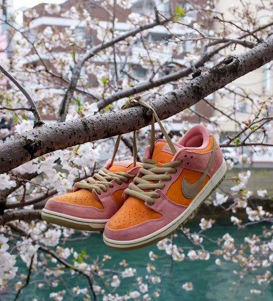 Nike Dunk Low Red Stardust (HJ4135-600)