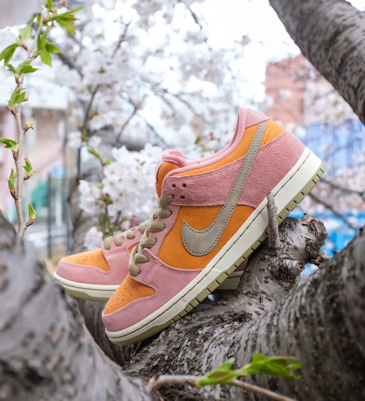 Nike Dunk Low Red Stardust (HJ4135-600)