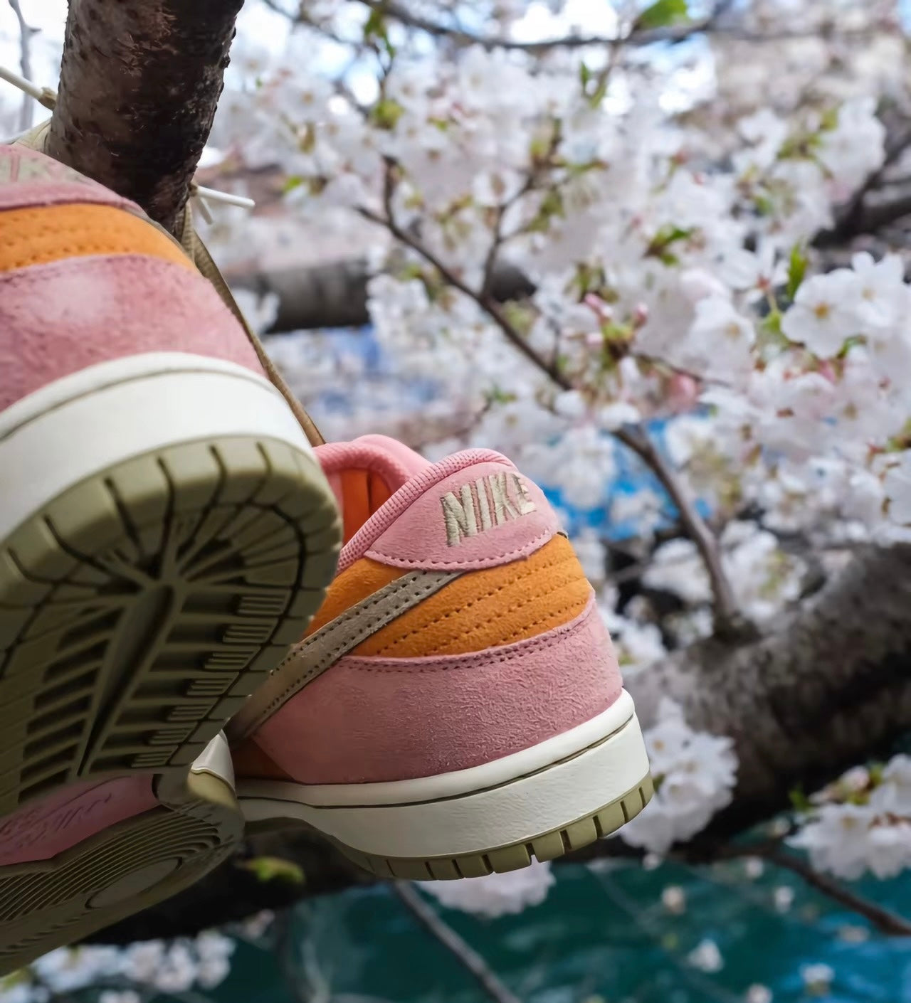 Nike Dunk Low Red Stardust (HJ4135-600)