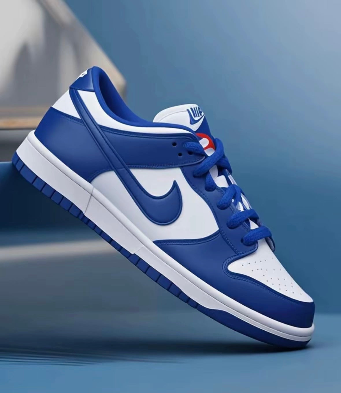 Nike Dunk low Concord GS (FB9109-106)