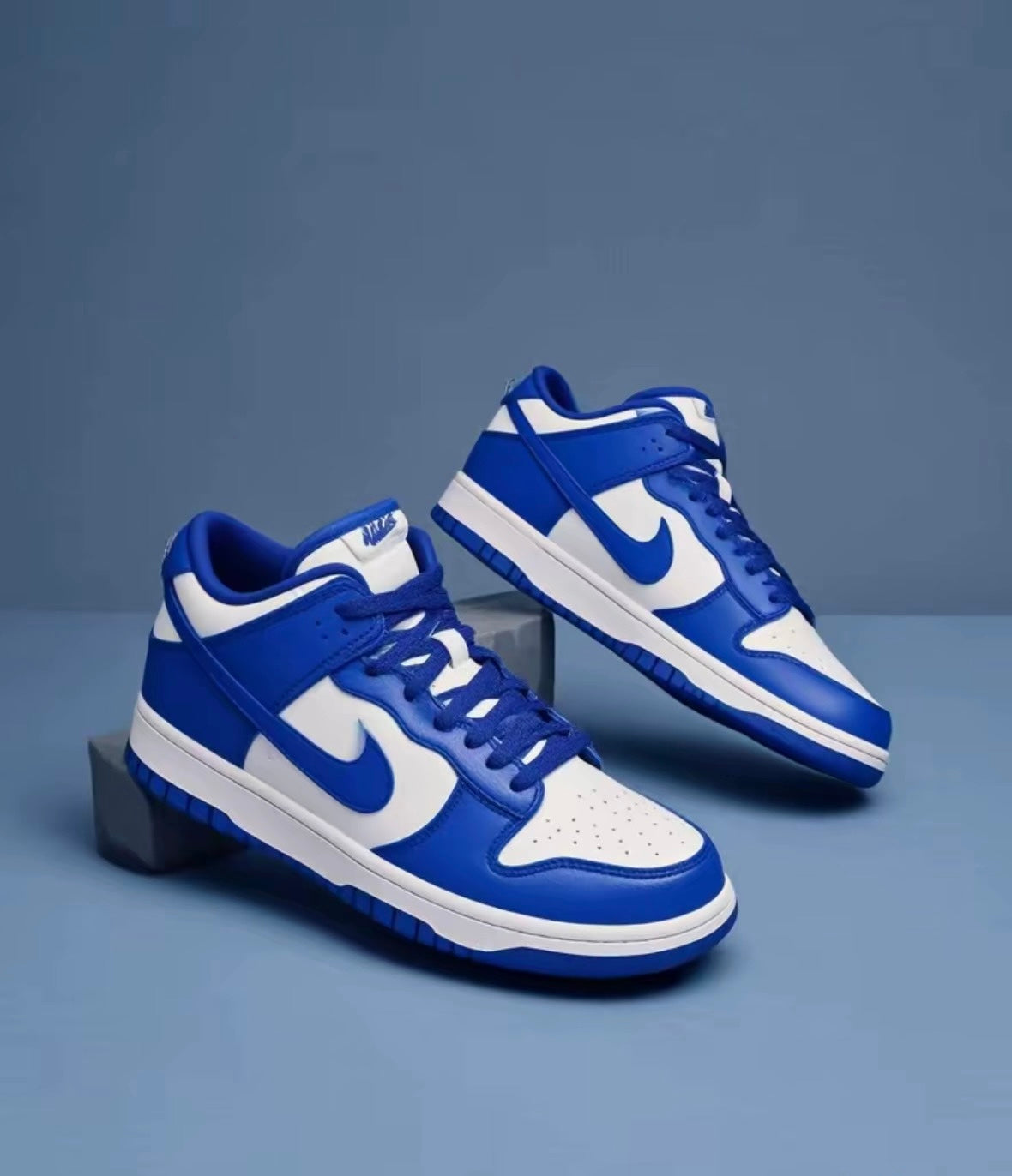 Nike Dunk low Concord GS (FB9109-106)
