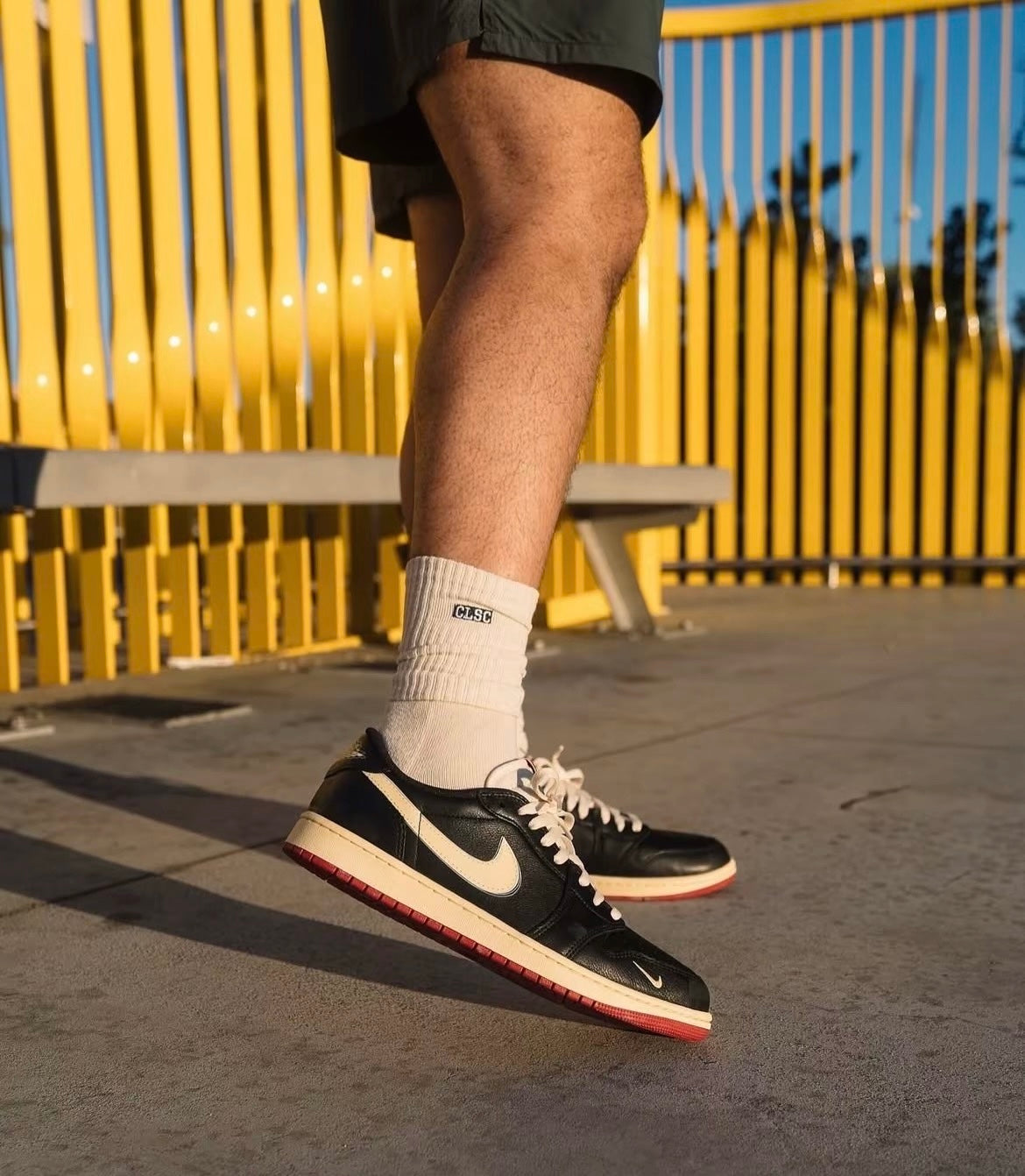 igel Sylvester x Air Jordan 1 Low (IB8958-001)