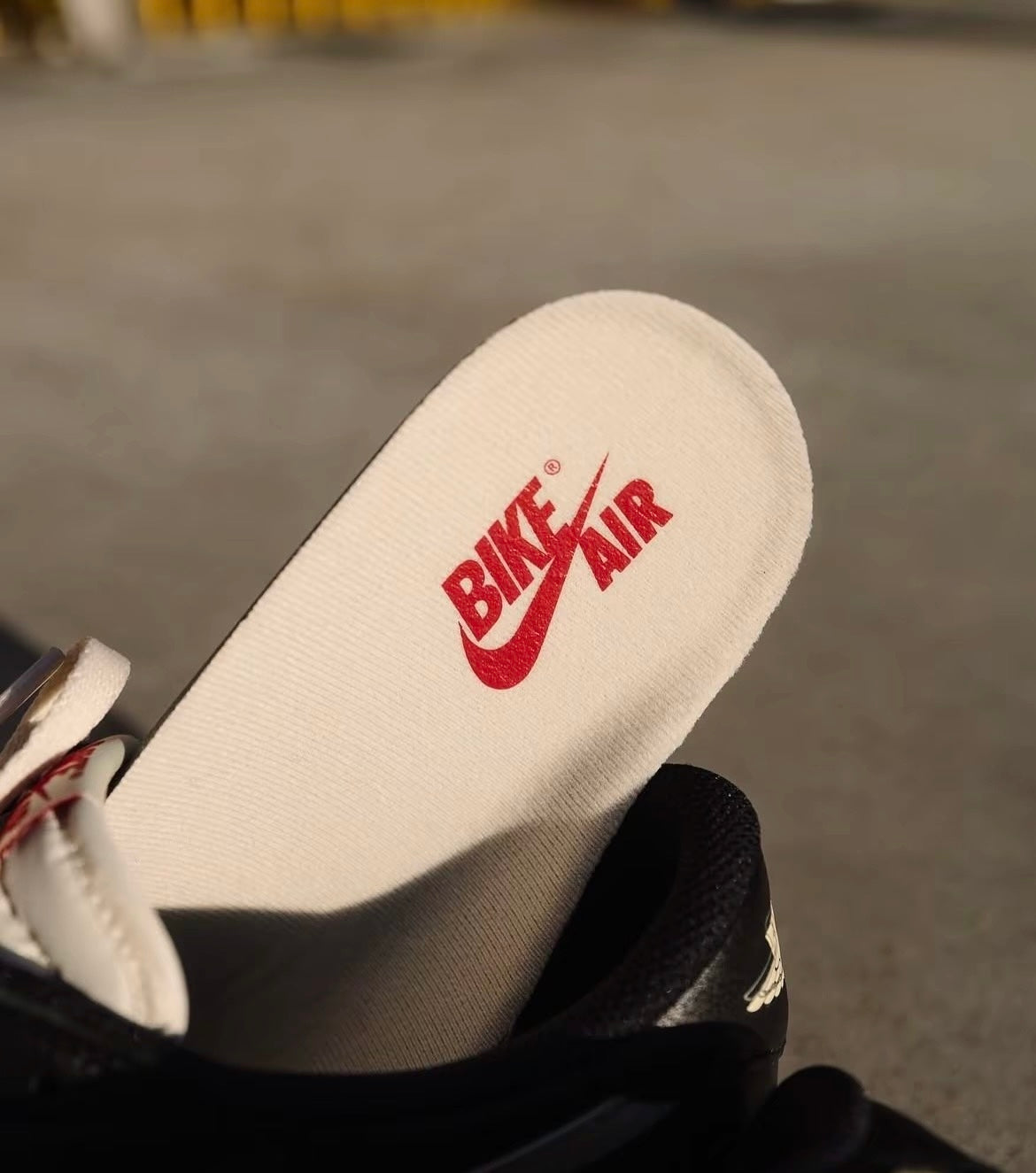 igel Sylvester x Air Jordan 1 Low (IB8958-001)