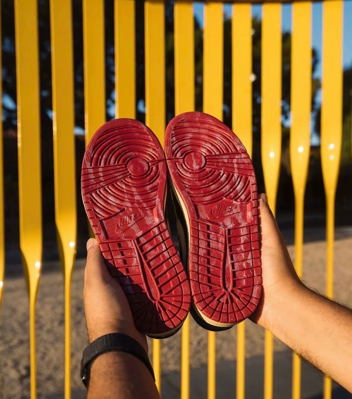 igel Sylvester x Air Jordan 1 Low (IB8958-001)