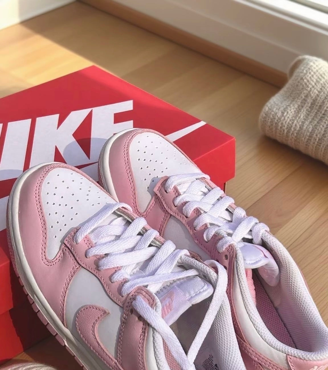 Nike Dunk Low Junior GS 粉白 (FB9109-125)