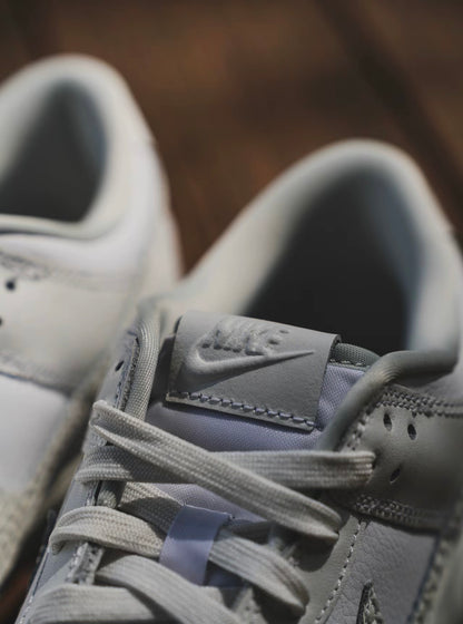 Nike Dunk Low 蚊紋灰白 (IB2262-100)
