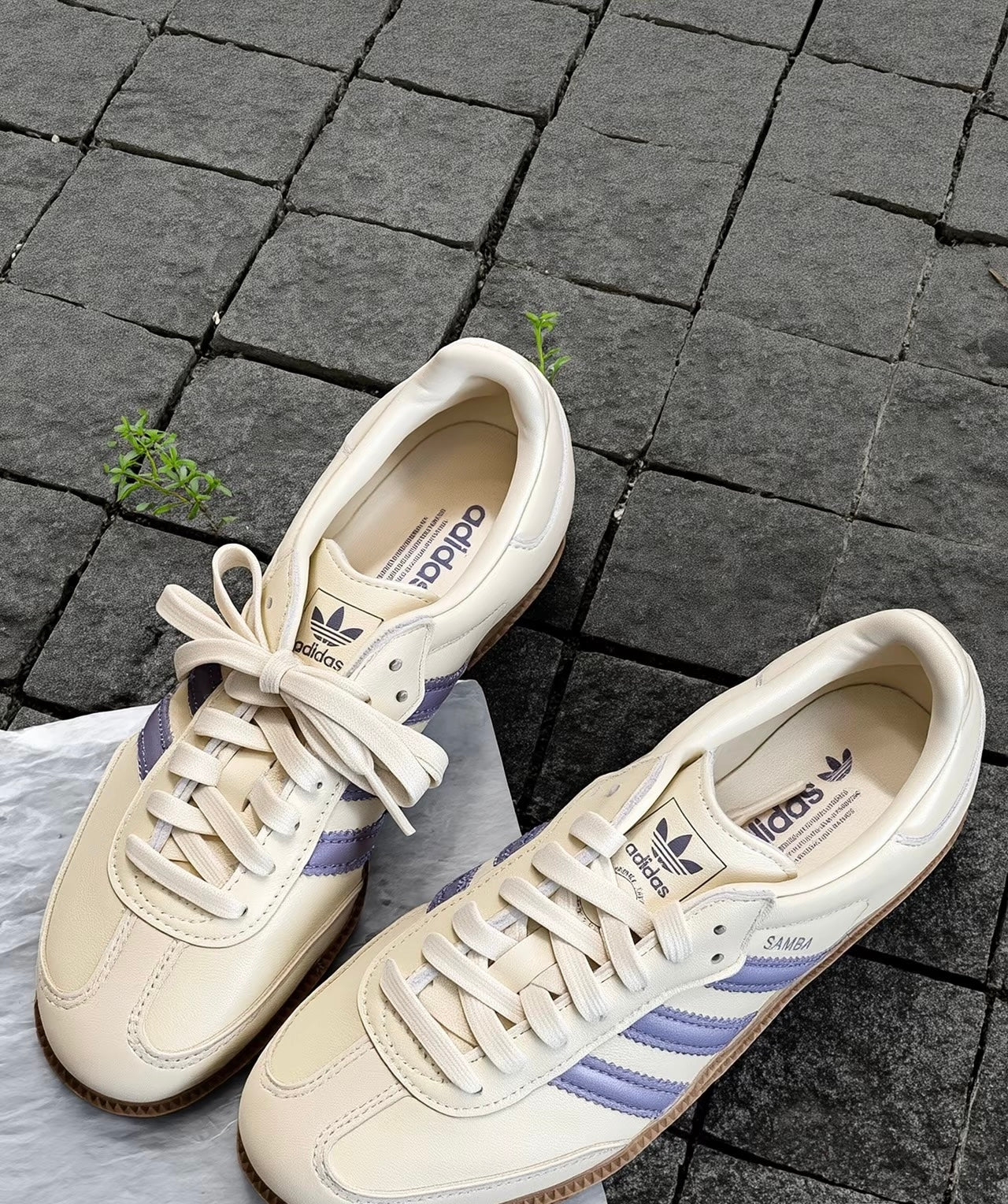 Adidas Originals Samba 奶藍 (JS1362)