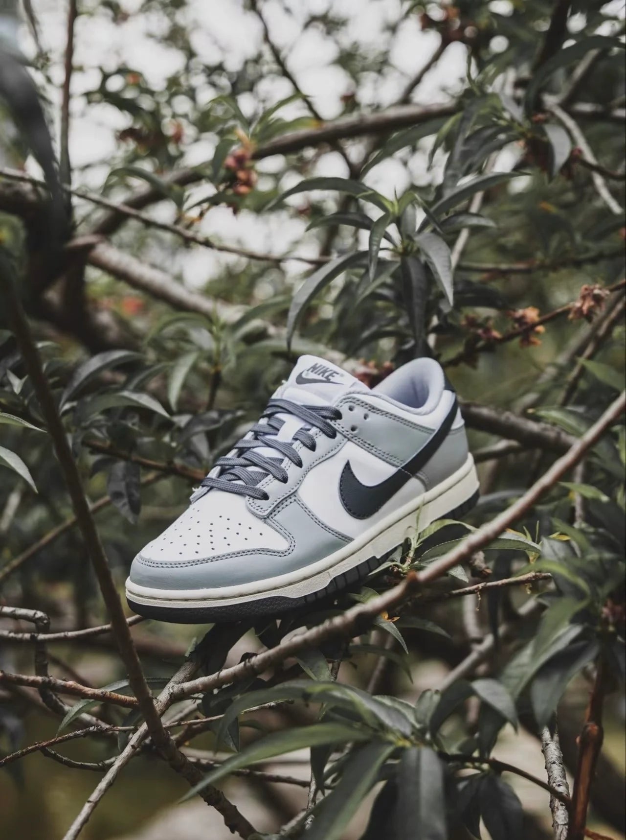 Nike Dunk Low “Light Smoke Grey” (DD1503-117)