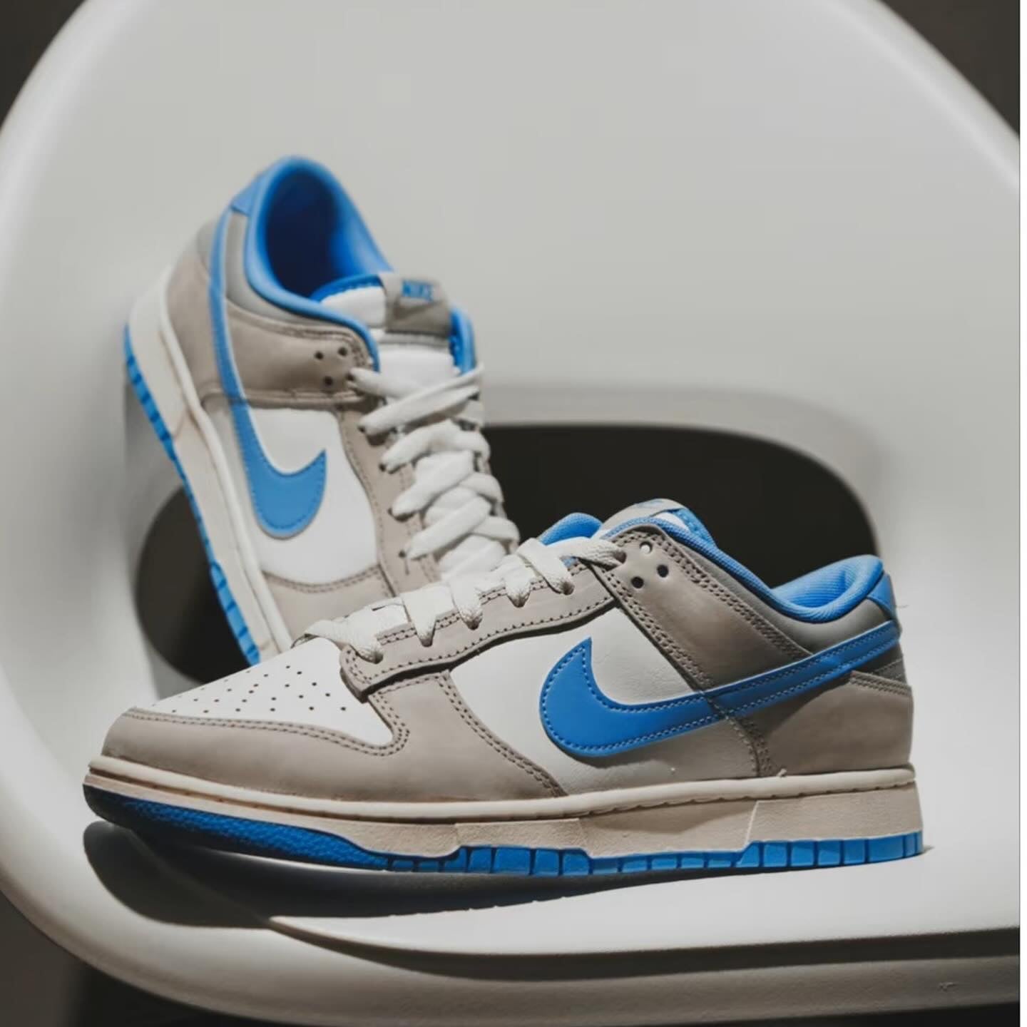 Nike Dunk Low Athletic Department (FN7488-133)